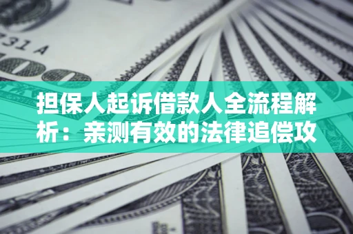 济南担保人起诉借款人全流程解析：亲测有效的法律追偿攻略