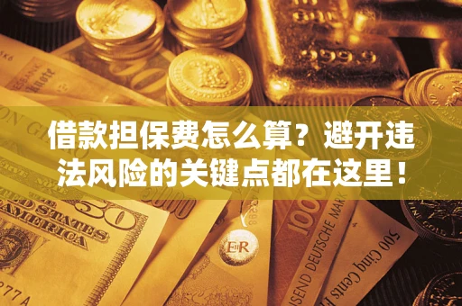 济南借款担保费怎么算？避开违法风险的关键点都在这里！