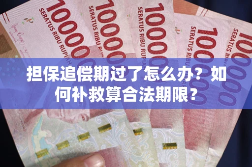 济南担保追偿期过了怎么办？如何补救算合法期限？