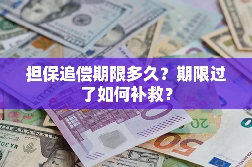 济南担保追偿期限多久？期限过了如何补救？